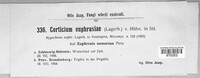Image Associated With the Occurence